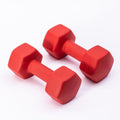 Neoprene‑Vinyl Dumbbell Set for Home Gym