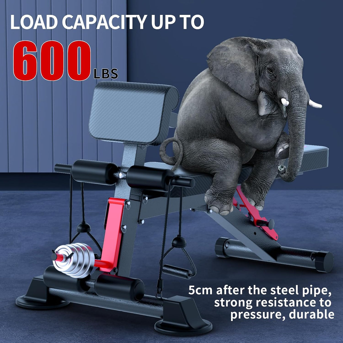 Adjustable Home Gym Weight Bench